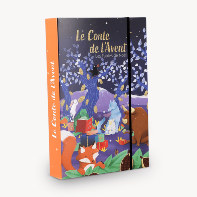 Calendrier-de-l'Avent-livre
