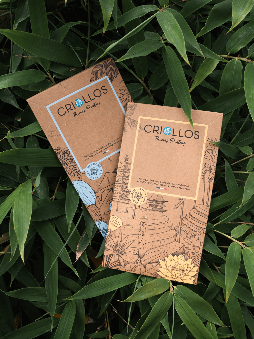 Etui tablette Criollos